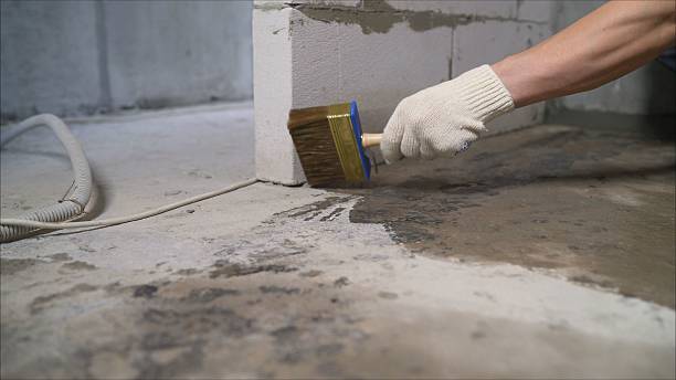 SJ Waterproofing Pros Emergency Waterproofing coverage map for Douglas, MI and surrounding area